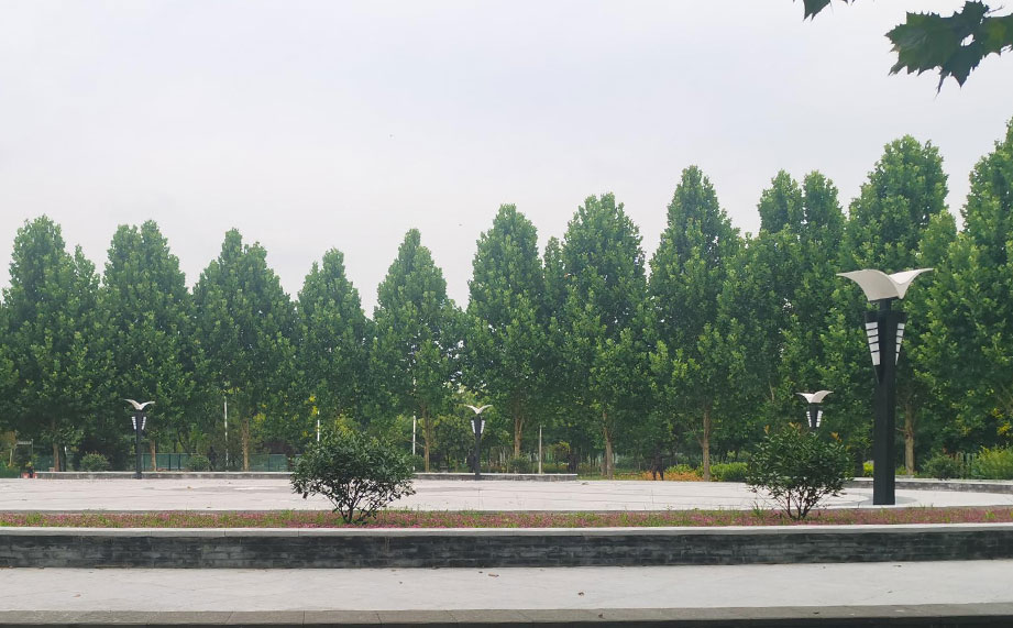 景觀燈，公園景觀燈.jpg